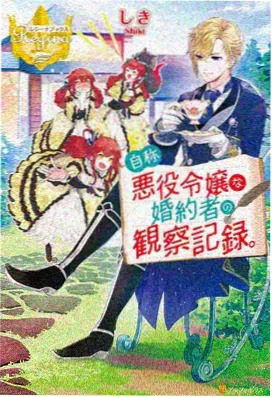 星屑回廊 海报